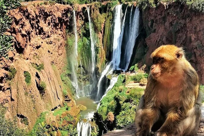 Ouzoud Waterfalls Day Trip from Marrakech