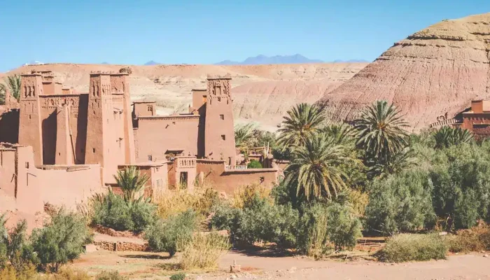 Marrakech to High Atlas Ouarzazate and Ait Ben Haddou Day Trip