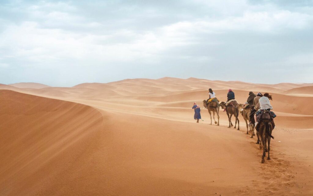 Ouarzazate to Tinfou Dunes and Zagora Day Trip