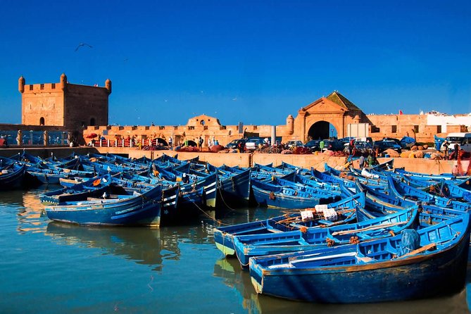 7 Best Marrakech to Essaouira Day Trip Experiences