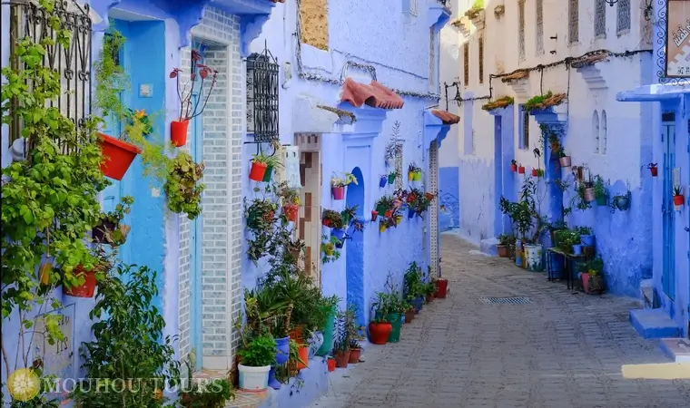 Fes to Chefchaouen Day Trip