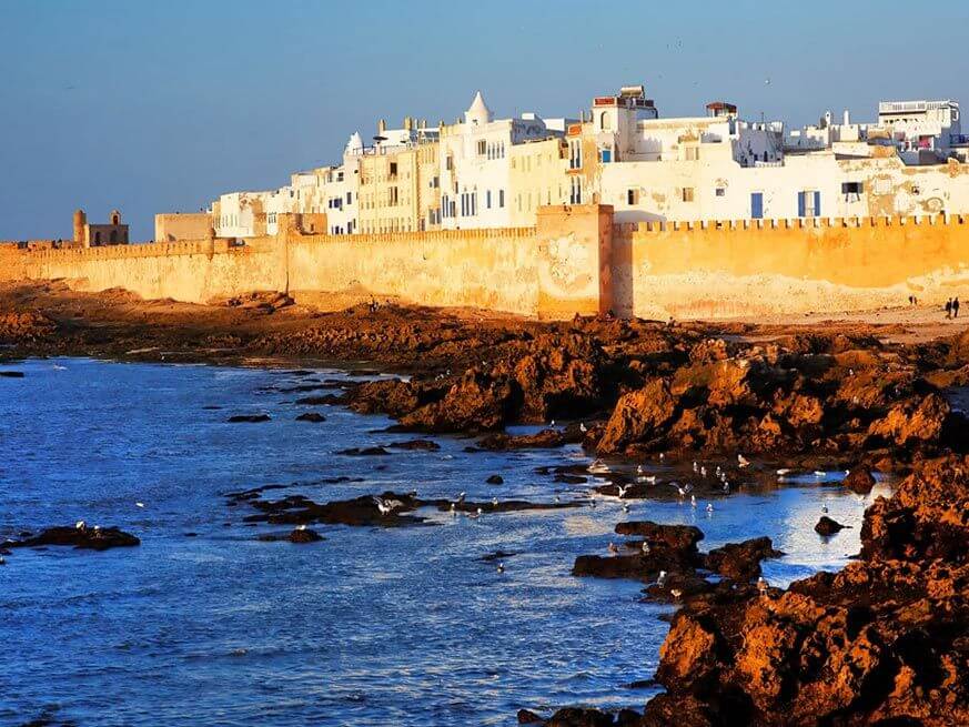 7 Best Marrakech to Essaouira Day Trip Experiences