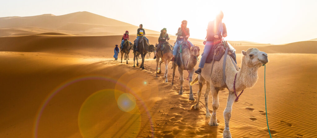 What to Do in Merzouga Desert